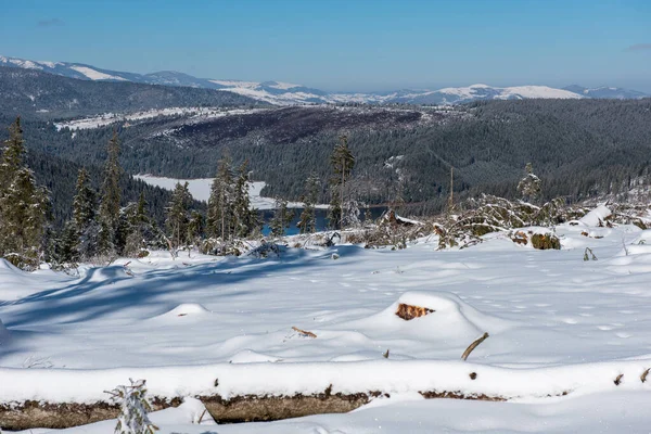 Vernietigd winterbos door storm — Stockfoto