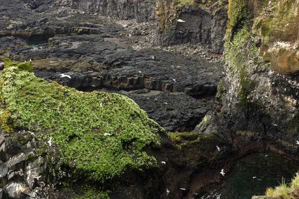 İzlanda'da Londrangar Bazalt Kayalıkları — Stok fotoğraf