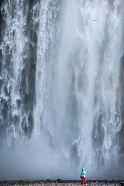 Žena obdivující Skogafoss vodopád na Islandu — Stock fotografie