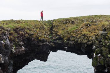 Arnarstapi bazalt kaya kemeri oluşumu, İzlanda