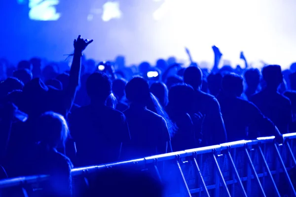 Crowd of people enjoying a live concert — Stock Photo, Image
