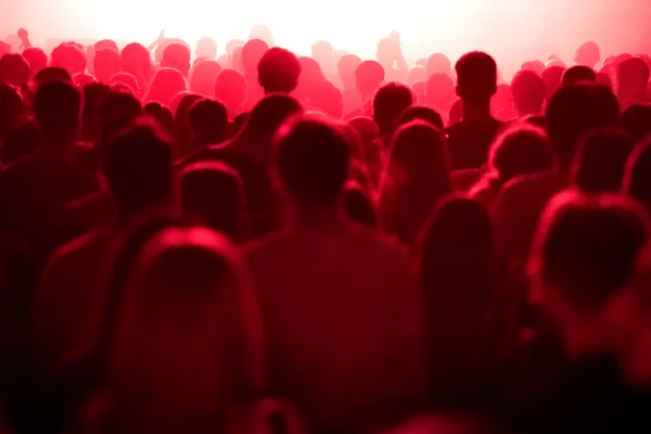 Weseli ludzie imprezują podczas koncertu na żywo — Zdjęcie stockowe