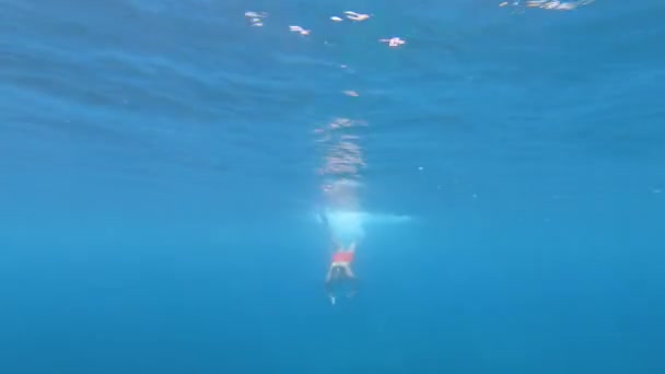 Vista Subaquática Homem Snorkeler Mergulhando Água Mar Tropical — Vídeo de Stock