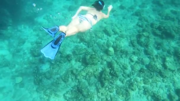 Подводный Вид Девушки Бикини Маской Трубкой Кристально Чистой Морской Воде — стоковое видео