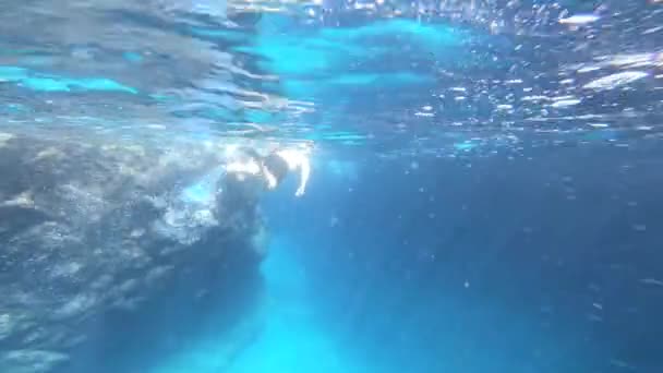 Vista Submarina Amigos Buceando Juntos Aguas Cristalinas — Vídeos de Stock