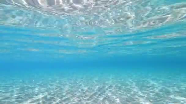 4k vue sous-marine de l'eau de mer cristalline dans les Caraïbes 