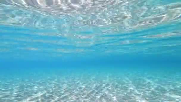 Underwater View Crystal Clear Sea Water Caribbean — Stock Video