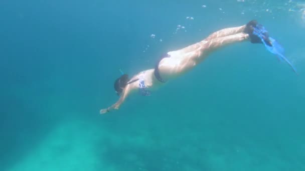 熱帯の海の水でシュノーケ リング ビキニでセクシーな女の子の水中ビュー — ストック動画