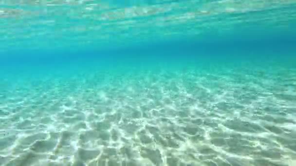 Vista Submarina Del Agua Cristalina Del Mar Caribe — Vídeos de Stock