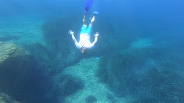 Snorkeling Άνθρωπος Μάσκα Εξερεύνηση Της Τροπικής Θάλασσας Υποβρύχια — Αρχείο Βίντεο