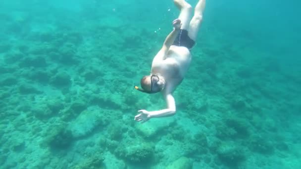 Snorkeling Chico Mostrando Mierda Firmar Bajo Agua Mar — Vídeo de stock