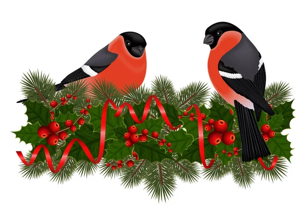 Κακκινολαιμής πουλιά σε κλαδιά δένδρων ελάτης — Διανυσματικό Αρχείο