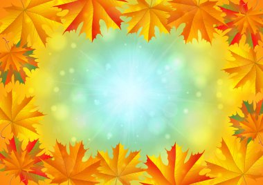 sonbahar yaprakları arka plan