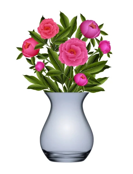 Flores de peonía en jarrón — Vector de stock