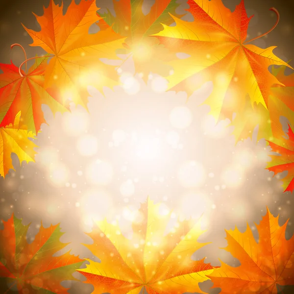 Hojas de otoño fondo — Vector de stock