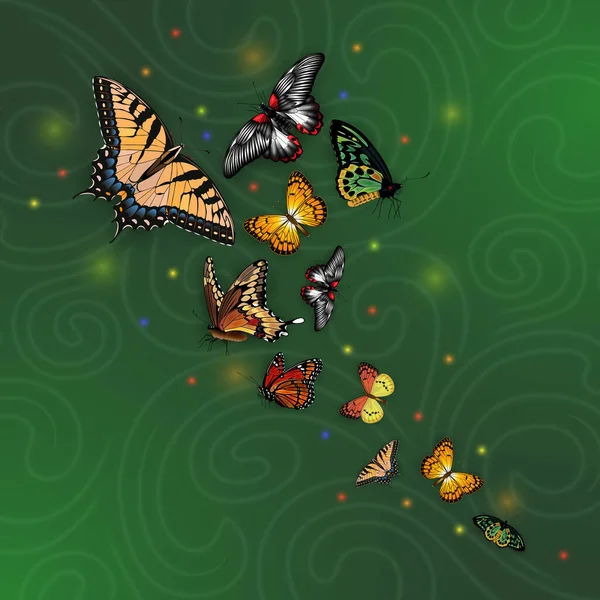 Ilustración Cola Golondrina Olla Plata Monarca Fritillary Mariposas Morfo Sobre — Archivo Imágenes Vectoriales