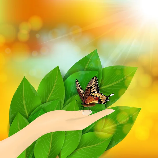 Illustration Von Grünen Blättern Schmetterling Hand Und Sonnigem Himmel Hintergrund — Stockvektor