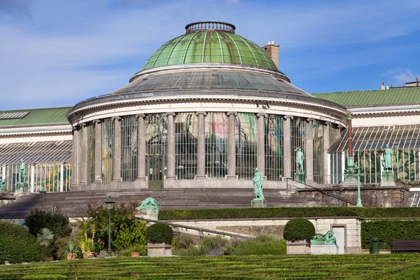 Ogród botaniczny w Brukseli — Zdjęcie stockowe