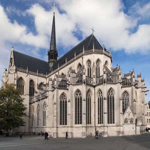 Leuven kilisede Saint Peter's — Stok fotoğraf