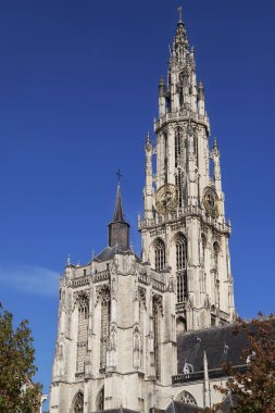 Antwerp katedral kule