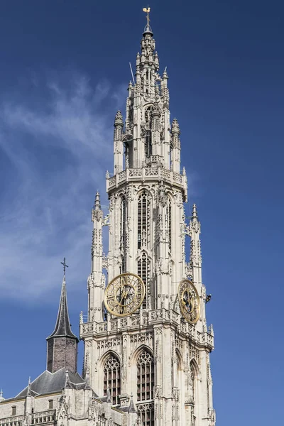 Antwerp katedral Spire — Stok fotoğraf
