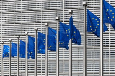 berlaymont binasının önünde Avrupa bayrakları
