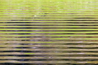 Sudaki Yeşil Dalgalanmalar