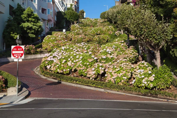 Lombard Street — Zdjęcie stockowe