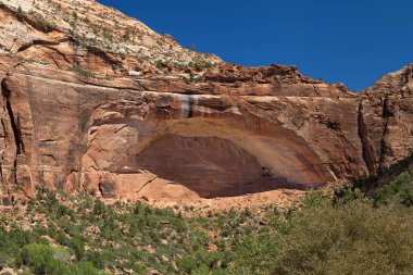 The Great Arch in Zion Ulusal Parkı, Utah, ABD
