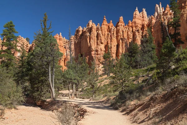 Navajo Loop Trail Cerca South Hall Bryce Canyon National Park —  Fotos de Stock