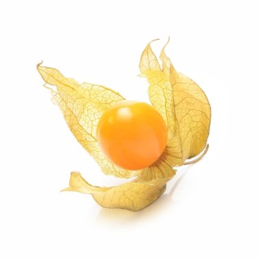 Beyaz arkaplanda physalis