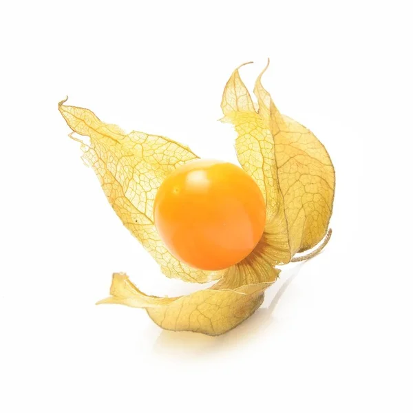 Physalis on white background — Stock Photo, Image