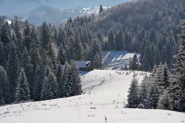 Eski terk edilmiş bir koyun ağılı kışın başında karla kaplıydı.