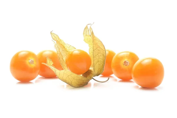 Physalis Isolated White Background — Stock Photo, Image