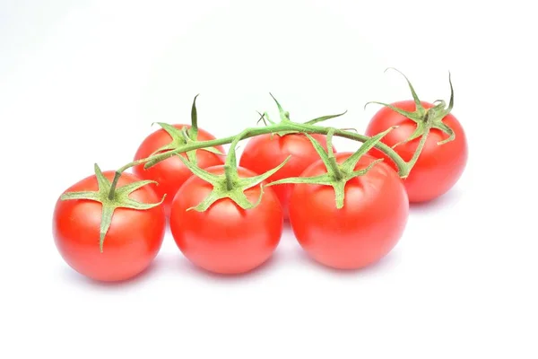 Tomato isolated on white background — Stock Photo, Image