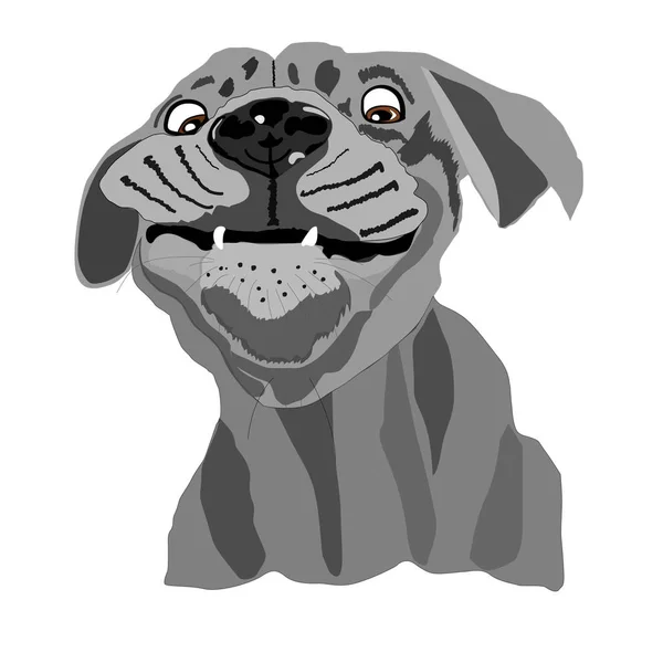Portré mosolygó foltos kutya — Stock Vector