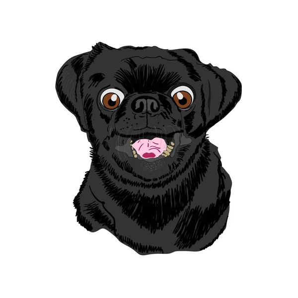 Portrét černý Mops pes — Stockový vektor