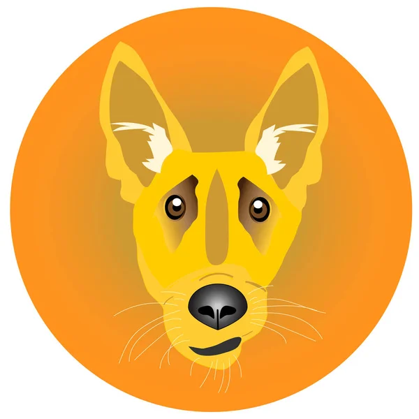 Sárga kutya jelképe az év 2018 — Stock Vector