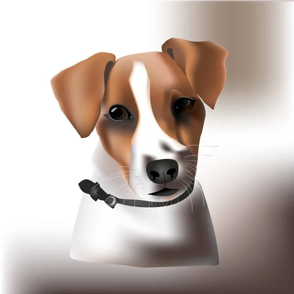 Retrato de uma raça de cão Jack Russell terrier com uma coleira . —  Vetores de Stock
