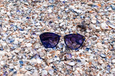shellsbeach üzerinde güneş gözlüğü