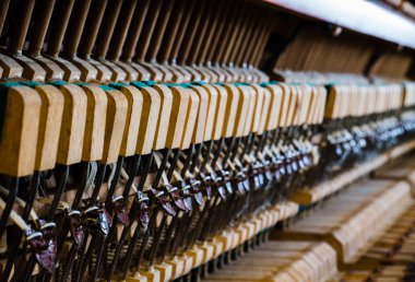 piyano dizeleri ve yapısını gösteren iç görüntü kadar yakın