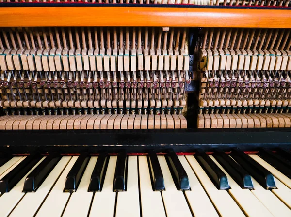 Imagen de primer plano del interior del piano de cola mostrando cuerdas y estructura — Foto de Stock