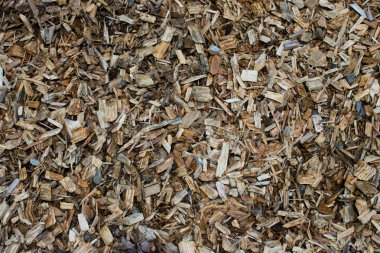 Ahşap talaş doku malzeme arka plan closeup, üstten görünüm