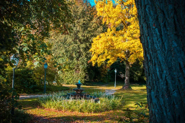 Hermoso paisaje de otoño con farol de calle y fuente — Foto de Stock