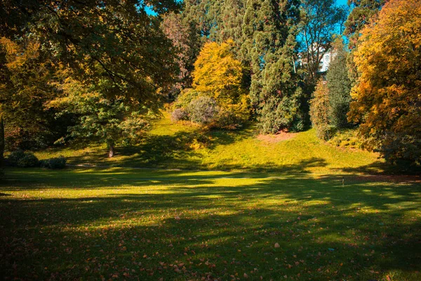 Hermoso paisaje otoñal en el parque matutino — Foto de Stock