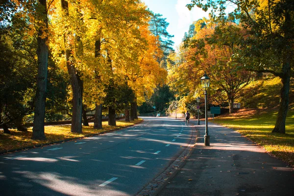 Hermoso paisaje de otoño con farol de calle — Foto de Stock