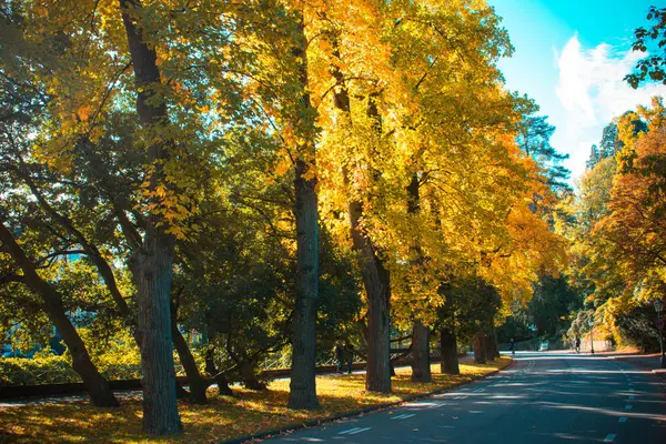 Hermoso paisaje de otoño con farol de calle — Foto de Stock