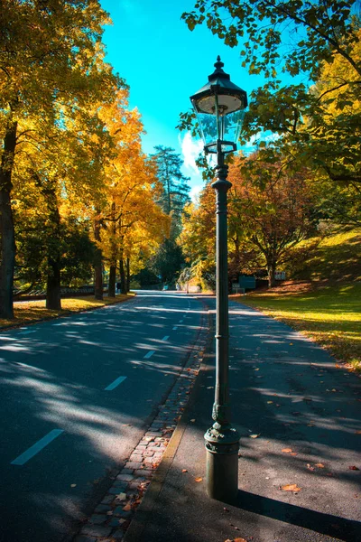 Hermoso paisaje de otoño con farol de calle — Foto de Stock