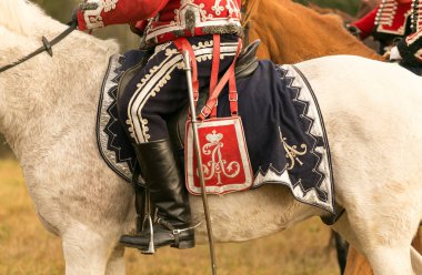 Berezina savaş Napolyon Fransız ordusu ve Mikhail Kutuzov altında Rus orduları arasında 29 Kasım 1812 yeniden inşası