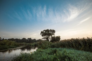 Belarus Berezina Nehri